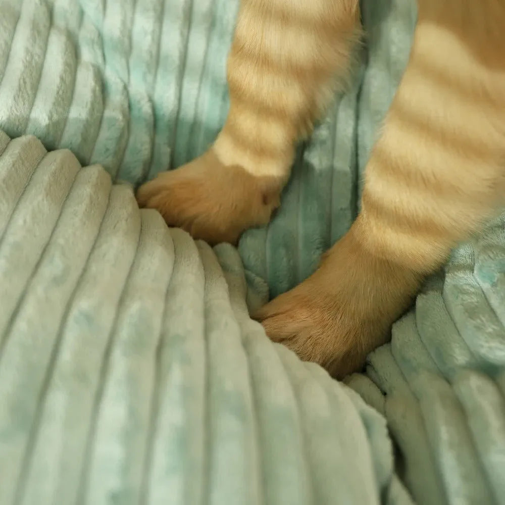 Orthopädisches Hundebett für Große & Kleine Hunde | Hundekissen Waschbar | WuffNest