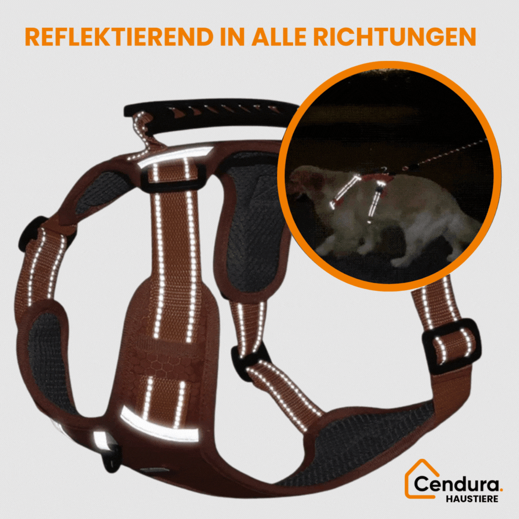 Hundegeschirr | Sicherheitsgeschirr für Hunde | Reflektierende Geschirr | HappyHund
