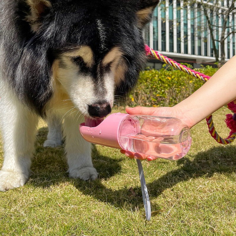 Trinkflasche für Hunde mit Snackbehälter und Kotbeutelspender | DurstFreund