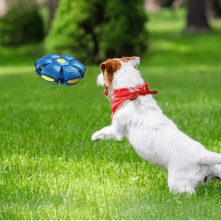 Hundespielzeug | 2-in-1 unkaputtbares Hundespielzeug | FlitzDisc