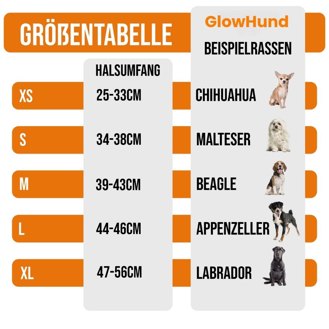 Leuchthalsband für Hunde | LED Hundehalsband | GlowHund
