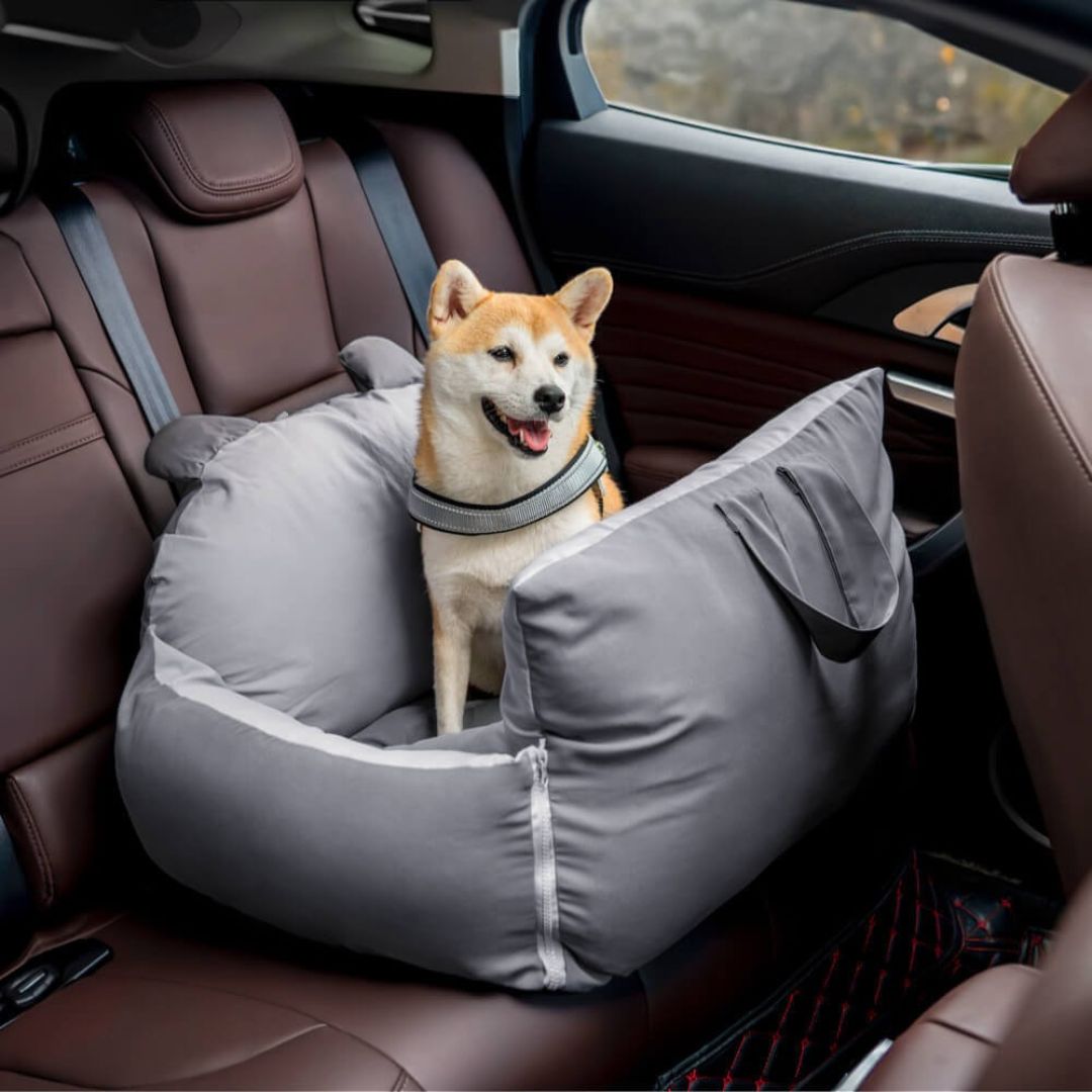 Hunde Autositz | Hundesitz für Rückbank | Hunde Auto Transportbox | HundeBox