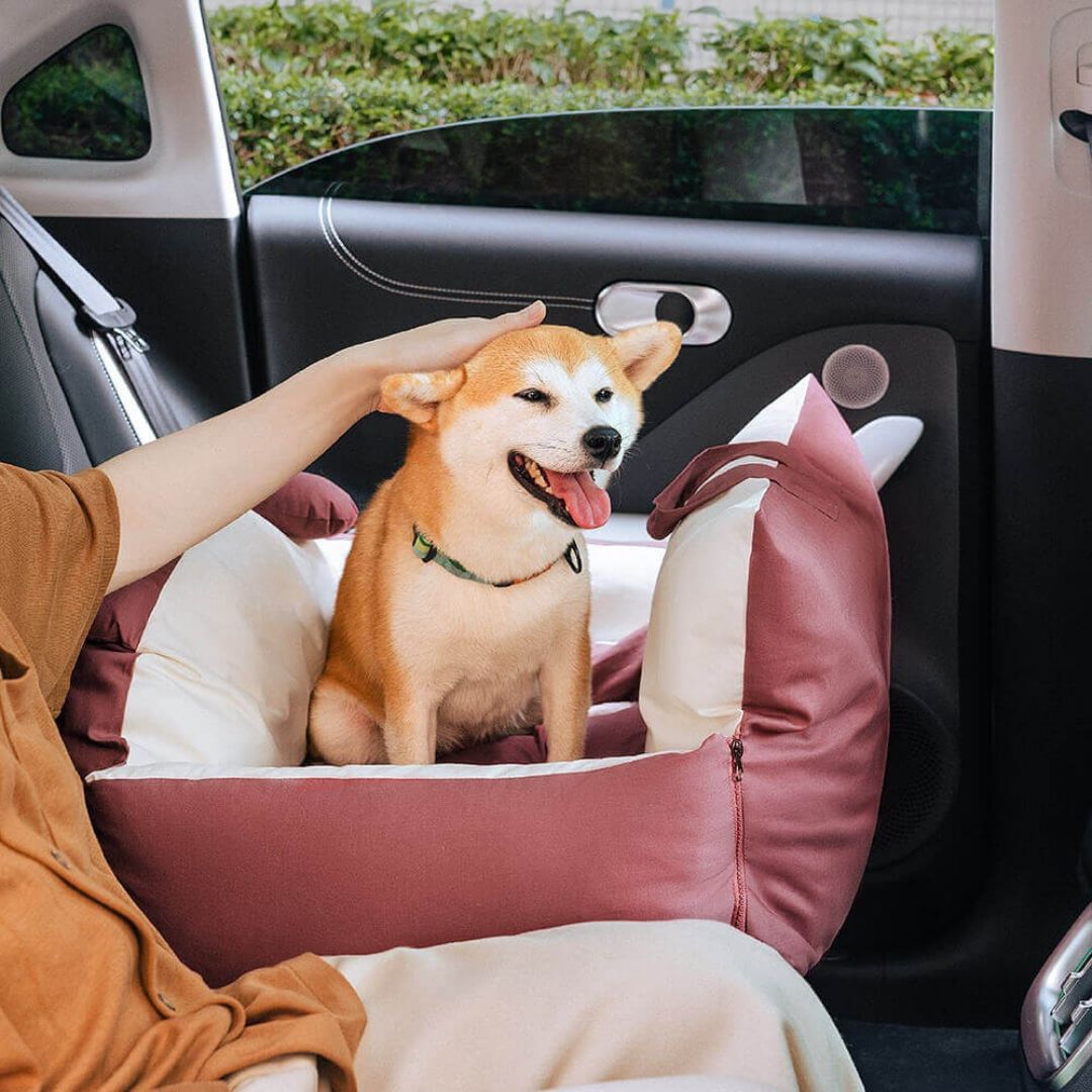 Hunde Autositz | Hundesitz für Rückbank | Hunde Auto Transportbox | HundeBox
