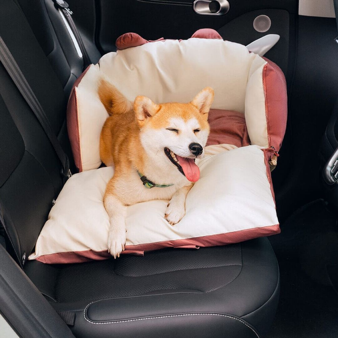 Hunde Autositz | Hundesitz für Rückbank | Hunde Auto Transportbox | HundeBox