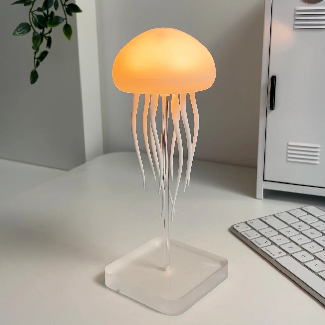 Quallen Lampe für Schlafzimmer | Tischlampe & Nachttischlampe | JellyTanz