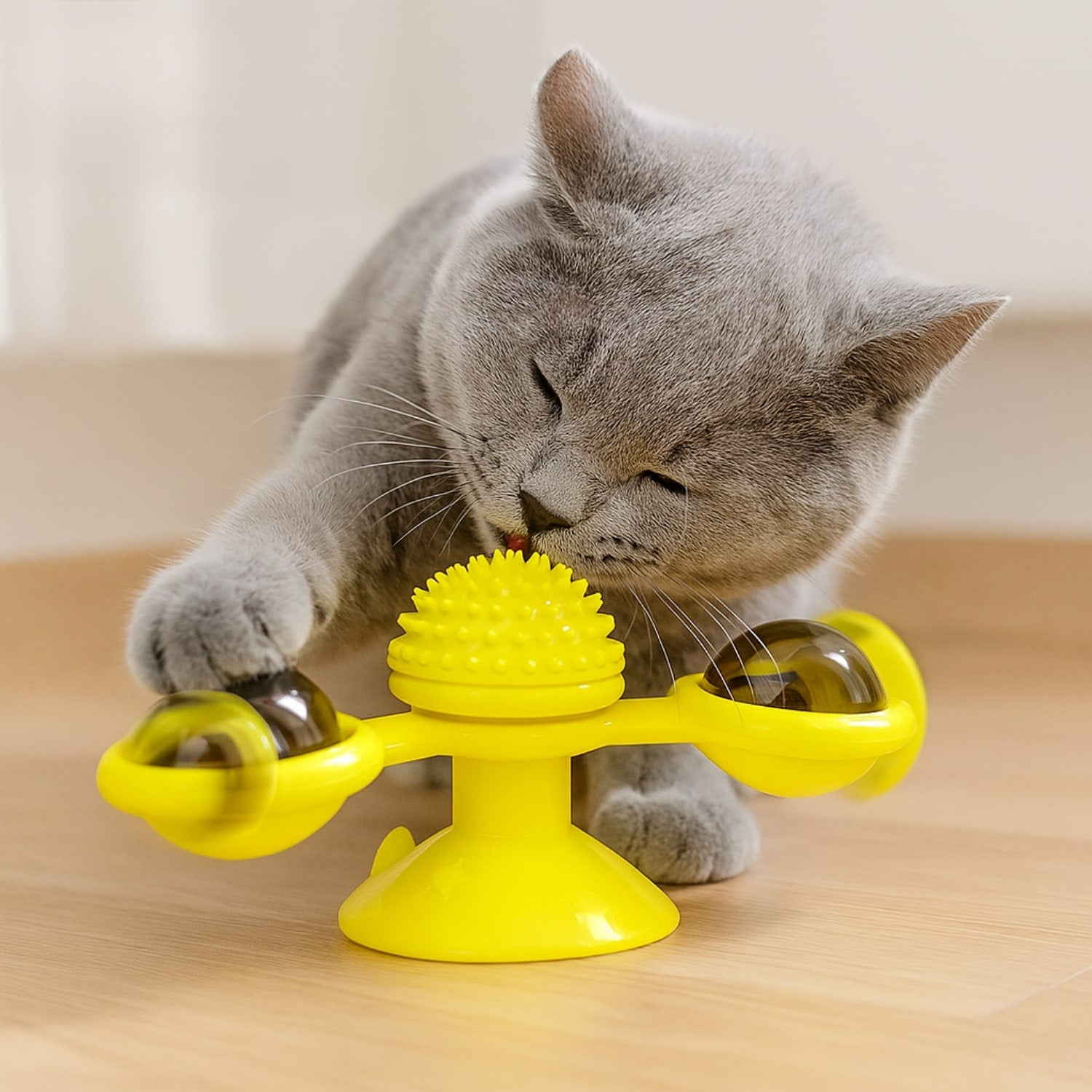 MiauwSpiel | Interaktives Katzenspielzeug Mit LED & Katzenminze