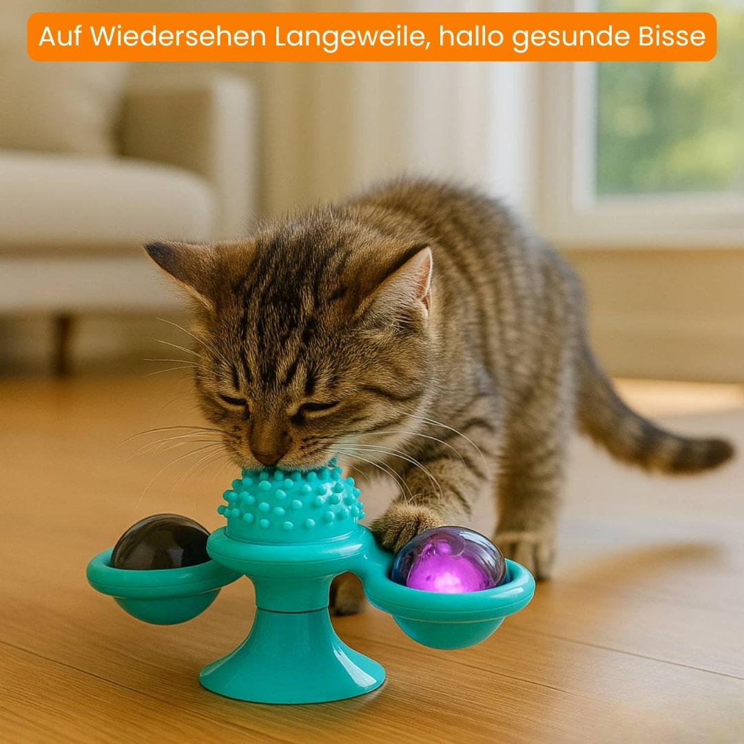 MiauwSpiel | Interaktives Katzenspielzeug Mit LED & Katzenminze