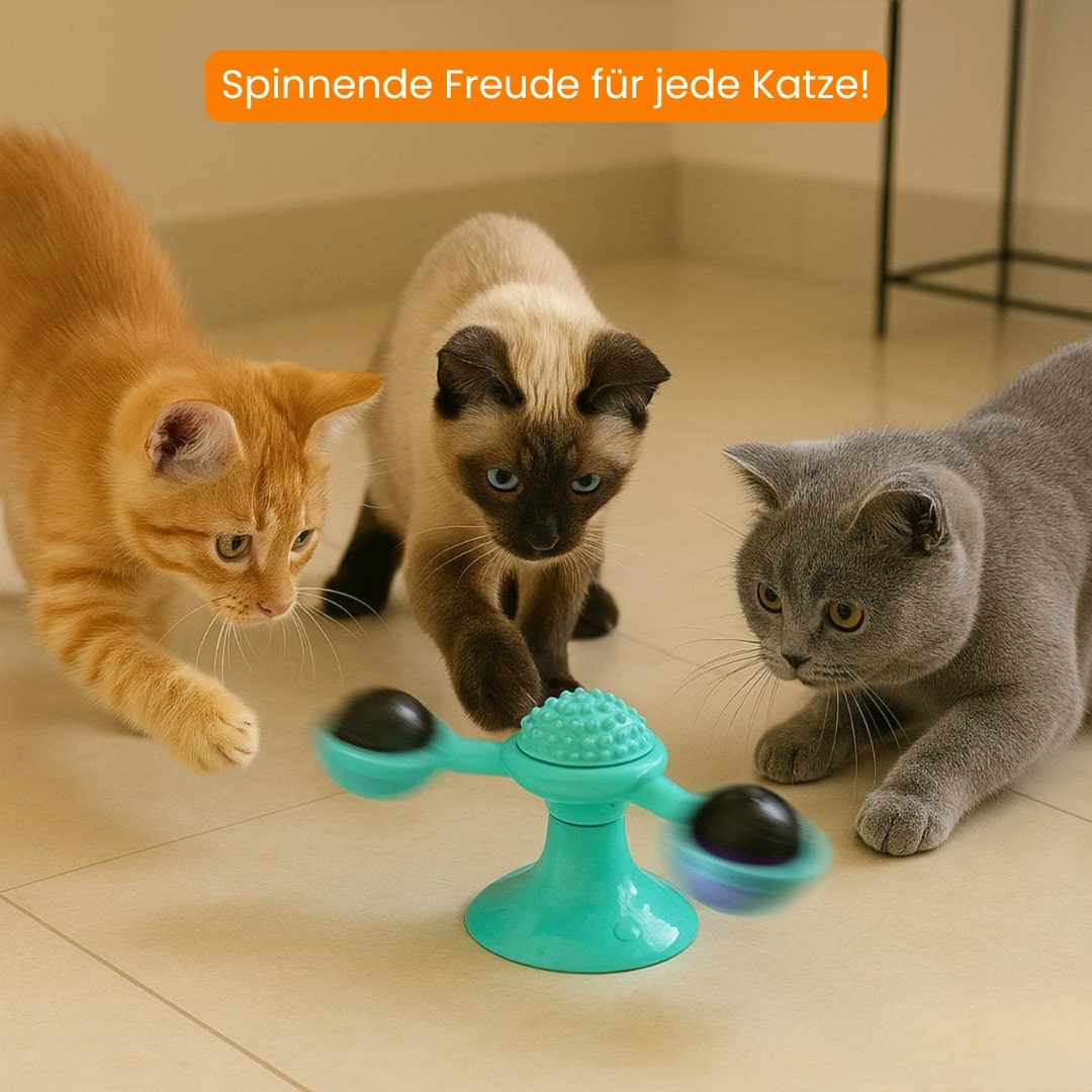 MiauwSpiel | Interaktives Katzenspielzeug Mit LED & Katzenminze