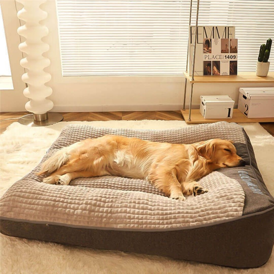 OrthoPaws | Orthopädisches Hundebett – Bequemes Hundekissen mit waschbarem Bezug