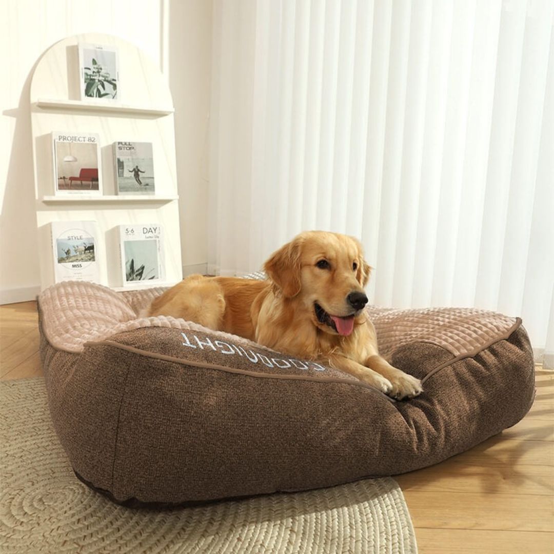 OrthoPaws | Orthopädisches Hundebett – Bequemes Hundekissen mit waschbarem Bezug