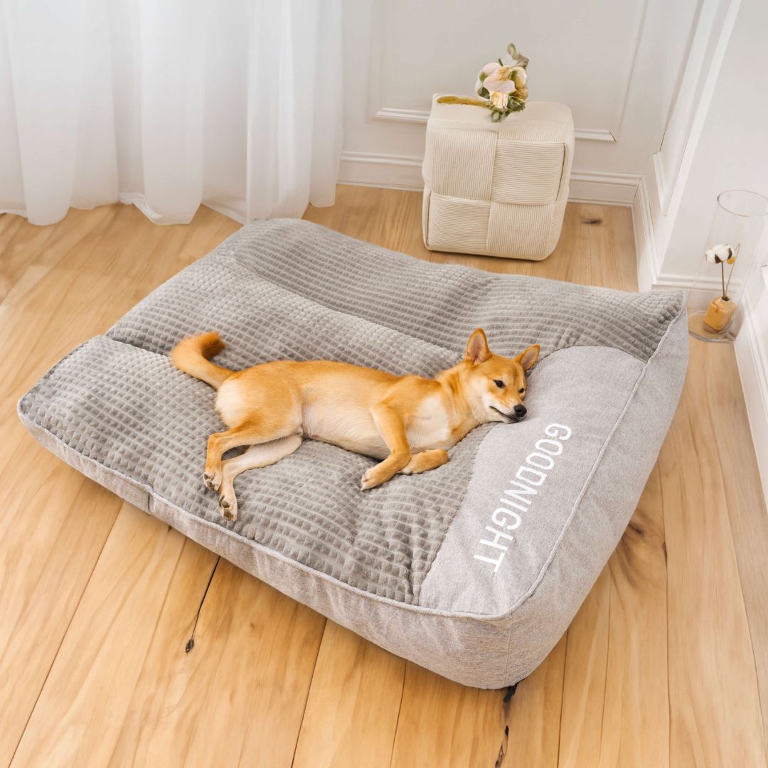 OrthoPaws | Orthopädisches Hundebett – Bequemes Hundekissen mit waschbarem Bezug