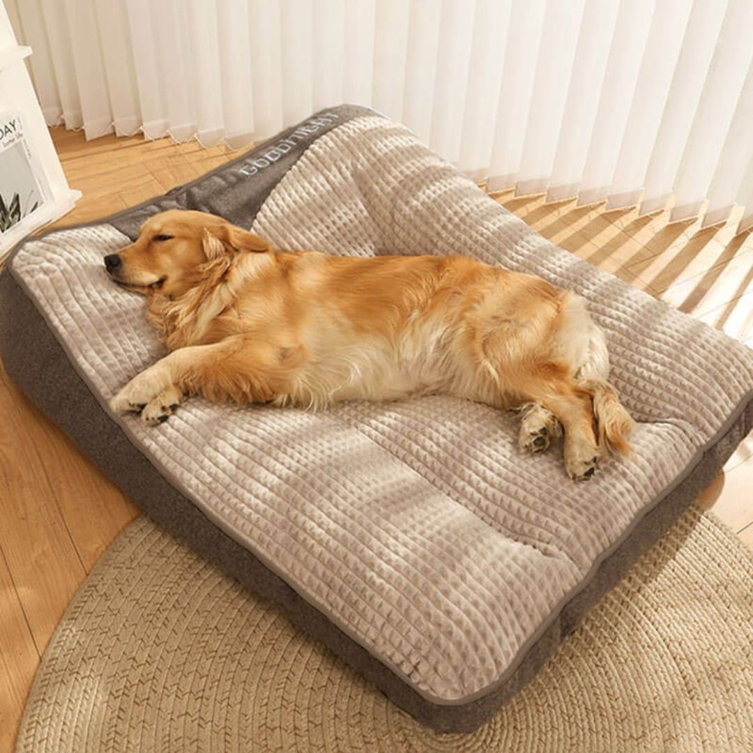 OrthoPaws | Orthopädisches Hundebett – Bequemes Hundekissen mit waschbarem Bezug