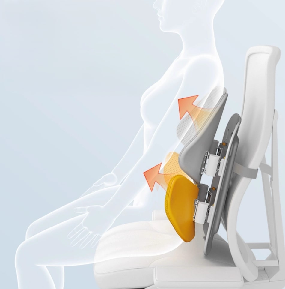 Rückenkissen | Orthopädisches Rückenstützkissen | Lordosekissen | RückenRuhe