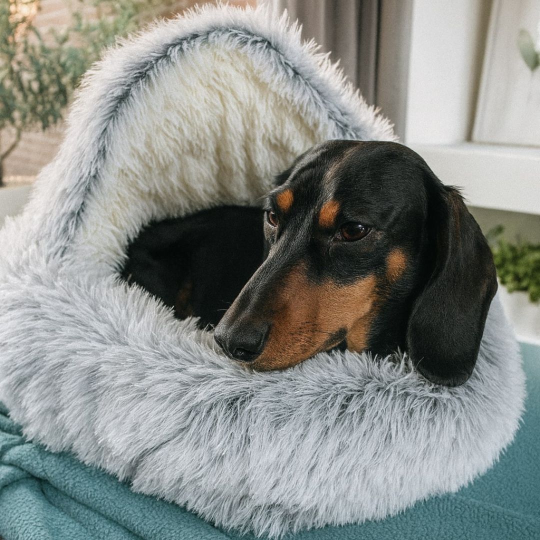 Hundebett & Katzenbett | Kuschelige Höhlenform für Hunde & Katzen | SchnuffelNest