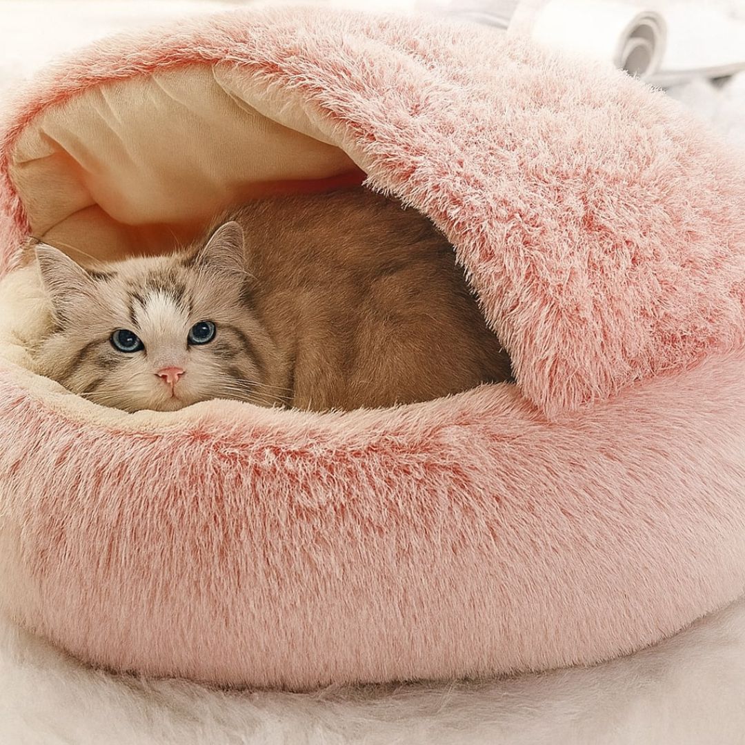 Hundebett & Katzenbett | Kuschelige Höhlenform für Hunde & Katzen | SchnuffelNest