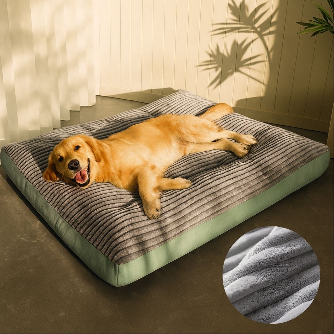 Orthopädisches Hundebett für Große & Kleine Hunde | Hundekissen Waschbar | WuffNest
